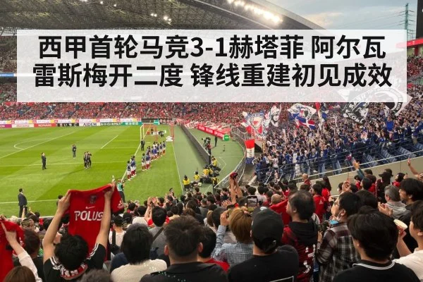 football stadium fans